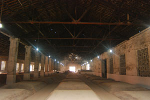 �o��ԭ�����a(ch��n)�S(ch��ng)